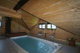 Srub Mendryka - bazén SPA a sauna - Janov