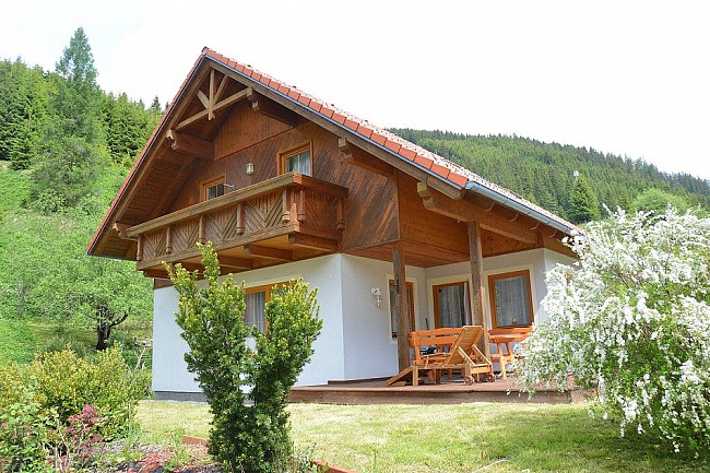 Alpin Haus Turrach - Rakousko, Alpy, trsko