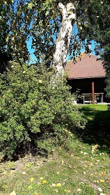 Zelený Dom - Stará Lesná - Vysoké Tatry